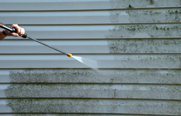Best Roof Pressure Washing  in Henry, IL