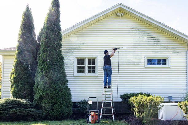 Best Affordable Power Washing  in Henry, IL